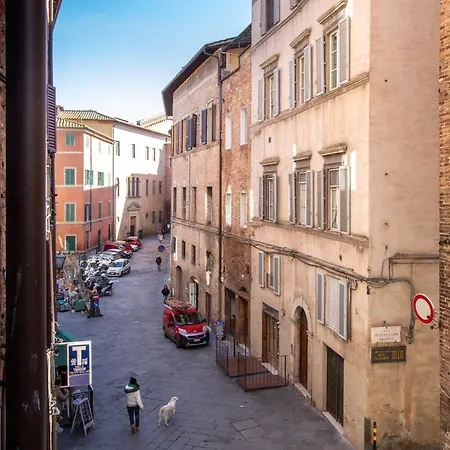 Casa Senio - Via Dei Rossi 95